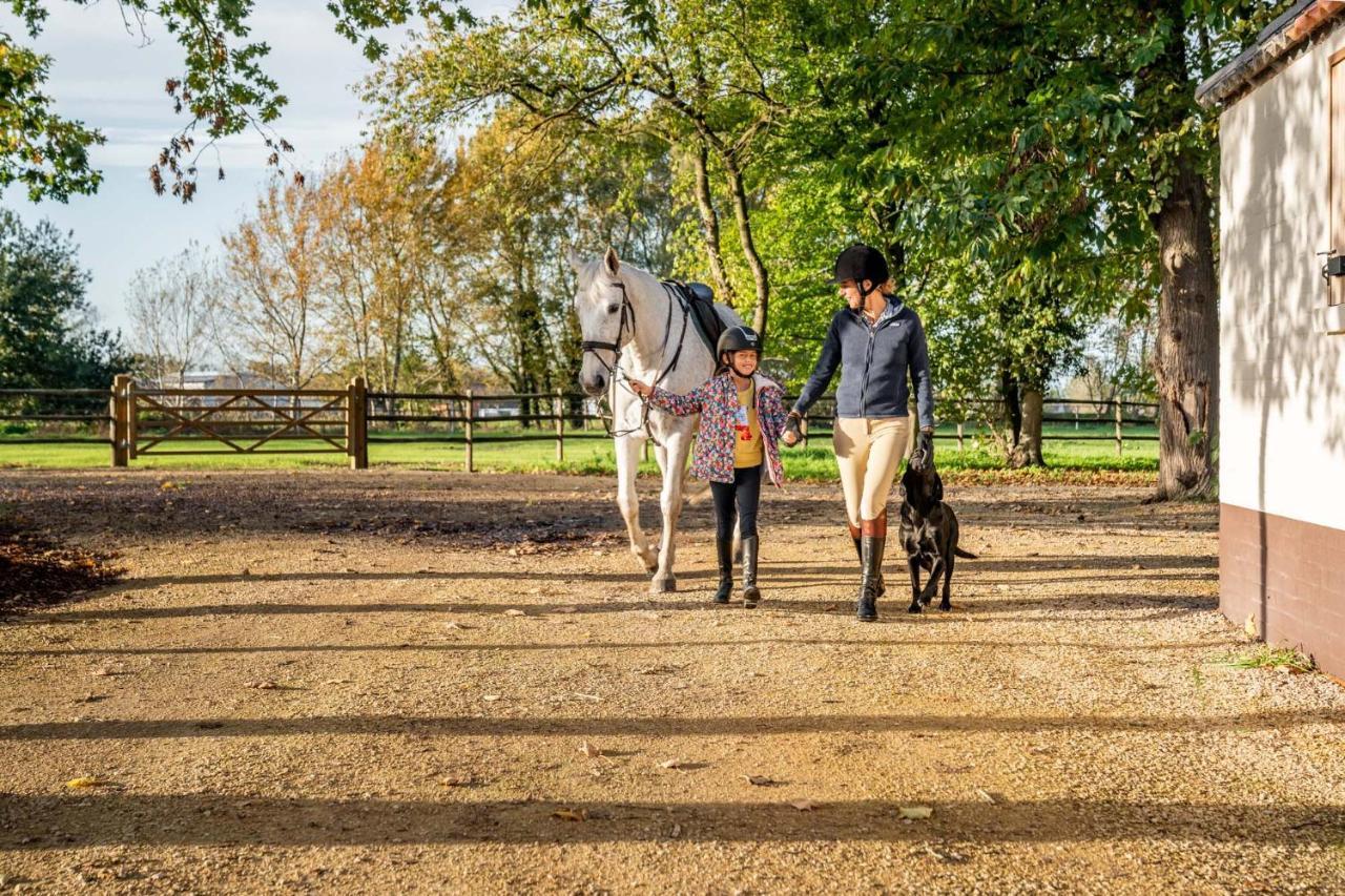 Equilodge 'T Blommeke - Reconnect With Nature Брюгге Екстер'єр фото
